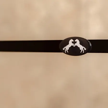 Schwarzes Ross Hotel *